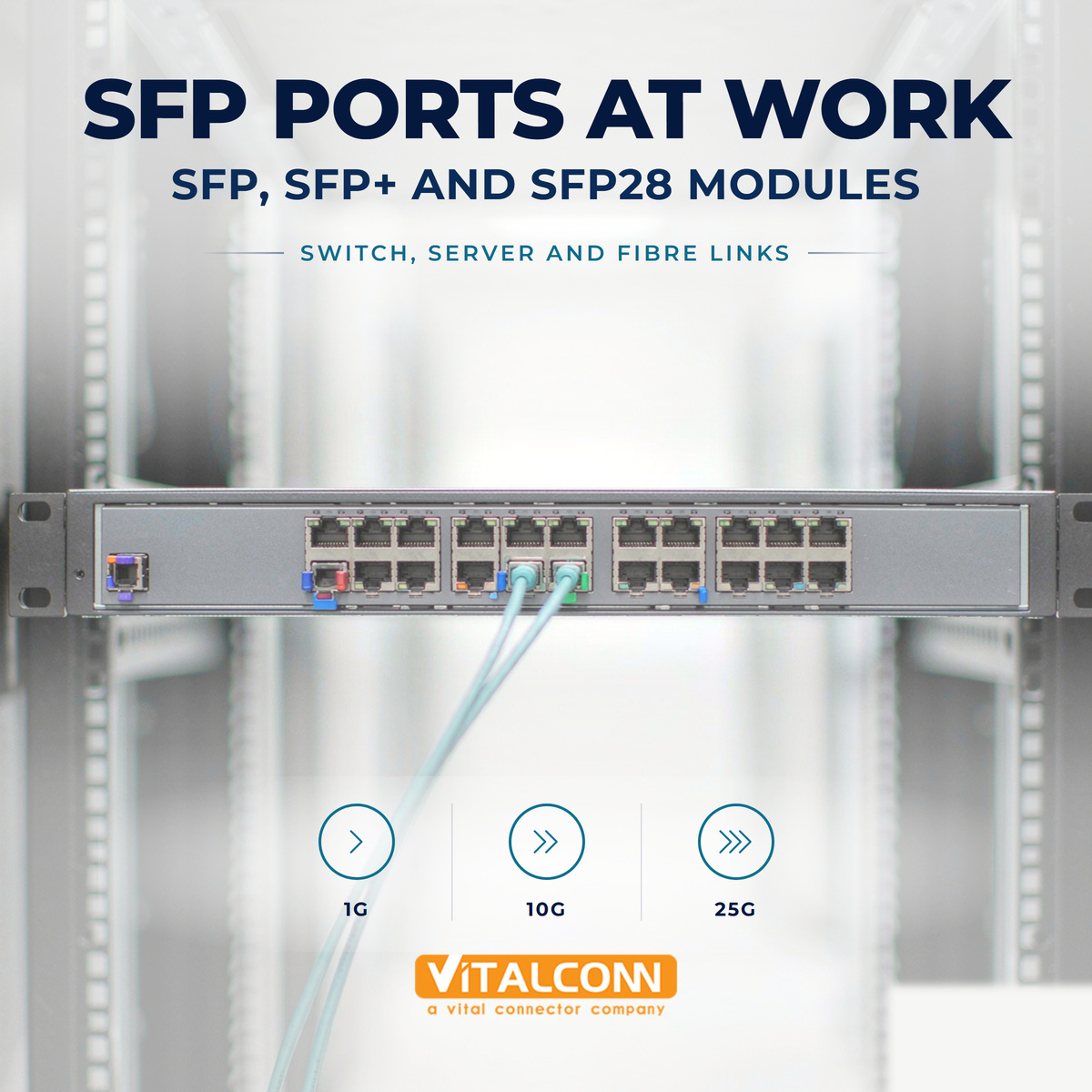 SFP vs SFP+ vs SFP28: Which Cage Should You Use?